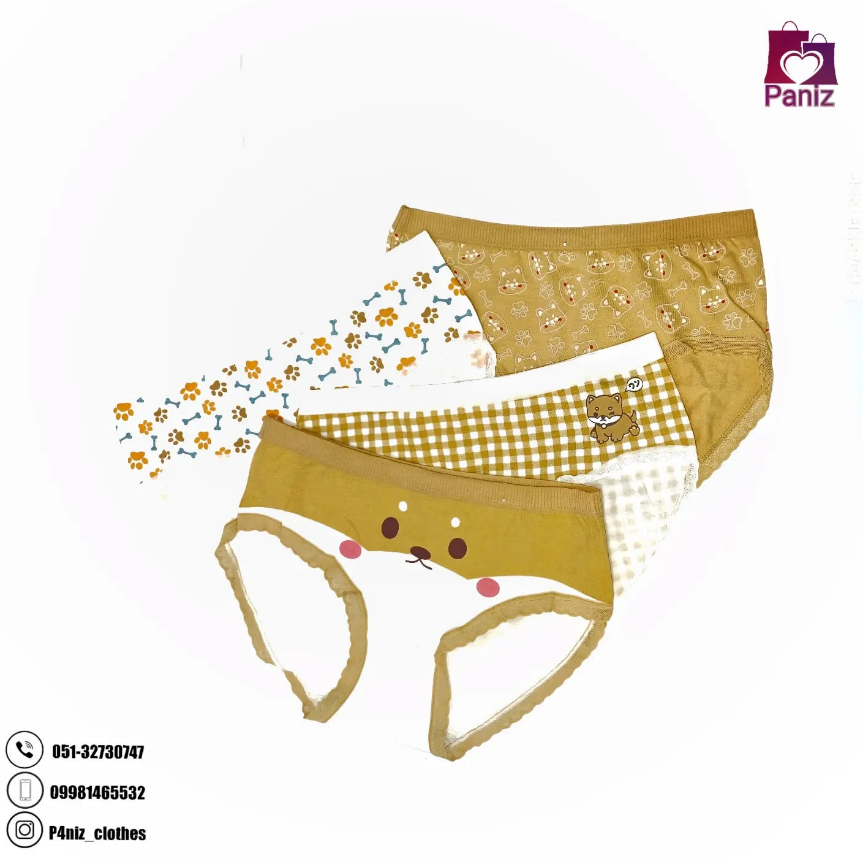 لباس زیر پوشاک پانیذ